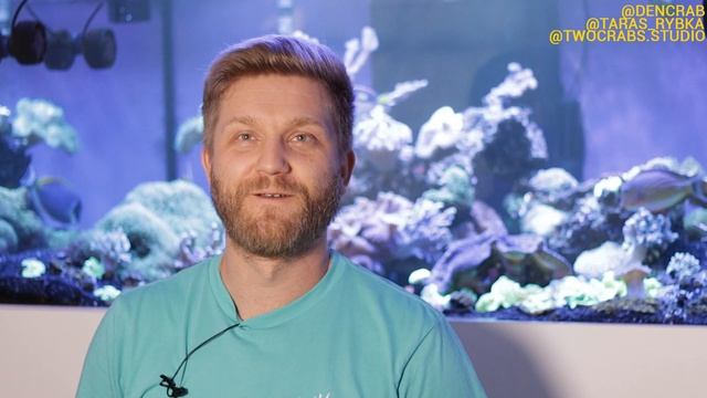 рыбки в морском аквариуме | перегрев морского аквариума | температура в аквариуме |рифовый аквариум смотреть онлайн