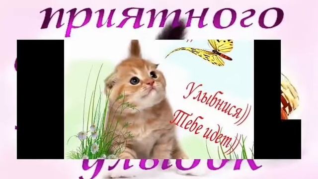 Всем желаю хорошего дня и настроения. Подписывайтесь))))) смотреть онлайн