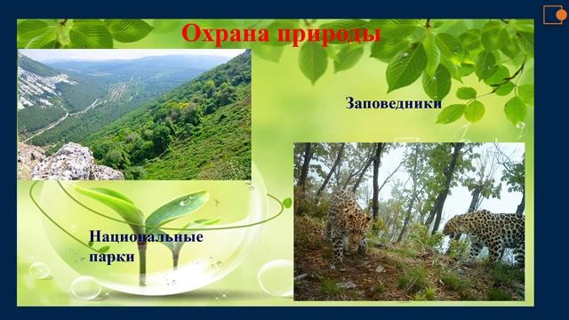 КАК СОХРАНИТЬ НАШУ ПРИРОДУ ??? смотреть онлайн