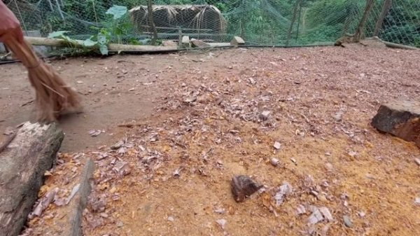 How to make a bed from homemade wood - Green forest life, farm life