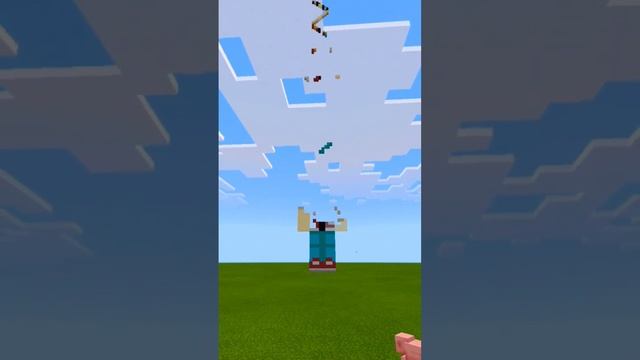 skin Trainer #minecraft #shorts #short #youtubeshorts смотреть онлайн