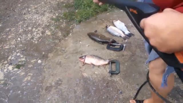 как легко почистить линя смотреть онлайн