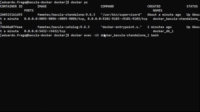 Instalação do Bacula 9.6.3 + Baculum + Docker смотреть онлайн