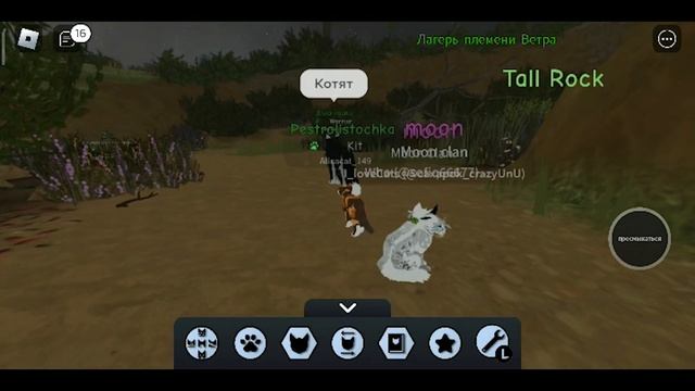 Играю в Warrior Cats Roblox: История Пестролистой! Играю за пятнистую целительницу в Роблоксе! смотреть онлайн