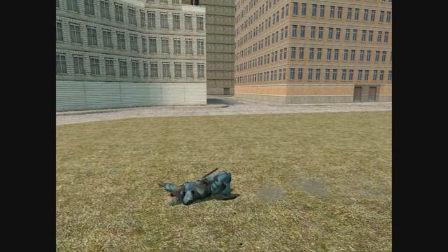 Counter Terrorist vs some combine elite...IN HD смотреть онлайн