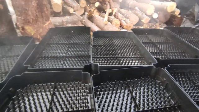 Промывка ГИДРОПОННЫХ лотков. Перед посадкой тюльпанов на выгонку. смотреть онлайн