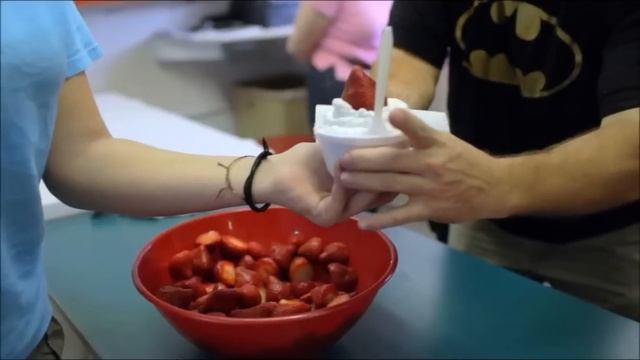 Florida Travel: A Guide To The Florida Strawberry Festival, Plant City