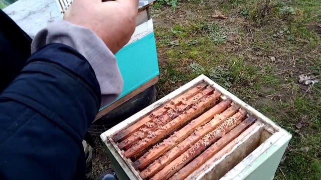 Правильная вентиляция в улье, залог хорошей зимовки для пчёл. смотреть онлайн