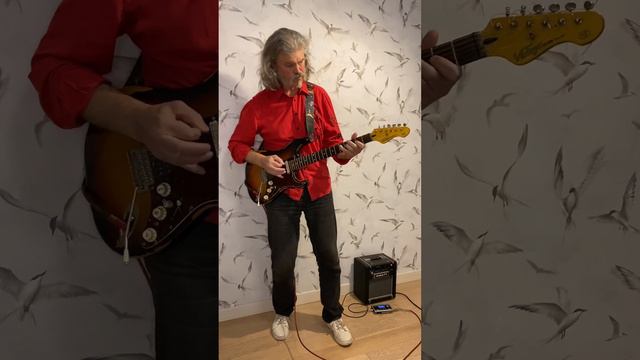 Anatoly Taran. Птицы белые мои (Никольский К.) смотреть онлайн