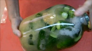 Хруст огурцов услышат даже соседи СОЛЕНЫЕ ОГУРЦЫ С ГОРЧИЦЕЙ/КВАШЕНЫЕ ОГУРЦЫ как бочковые