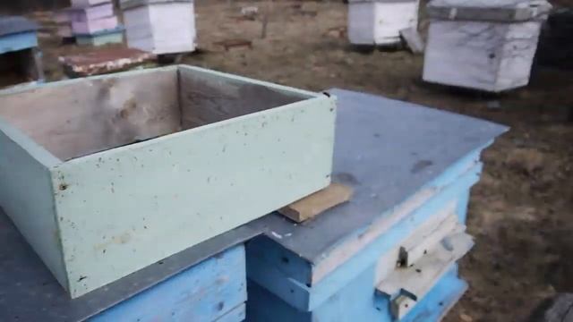 Дела на пасеке. Идет пыльца. Облетывается молодеж смотреть онлайн