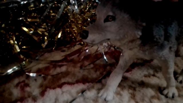 почему так редко выходят видео? смотреть онлайн