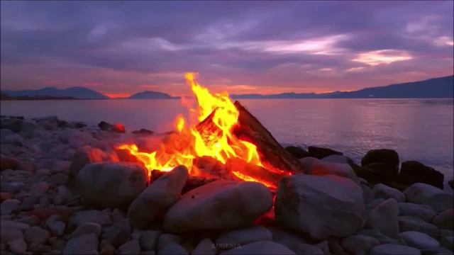 "Я БЛАГОДАРНА ВАМ". ОЛЬГА НЕМЫКИНА. смотреть онлайн