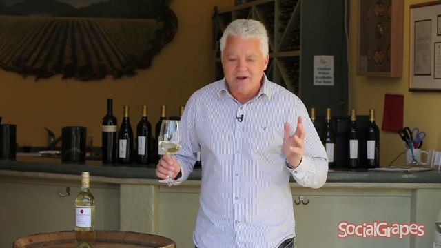 Pinot Grigio смотреть онлайн