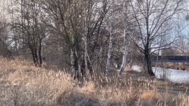 ПОЗОР! ЗА ДОНАТЫ ГОТОВЫ НА ВСЕ! ВИТАЛИК И АНГЕЛИНА. смотреть онлайн