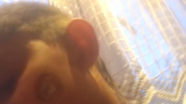 Мой первый влог: прервалось видео! смотреть онлайн