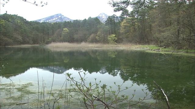 Спокойная музыка для релакса 8 6 1