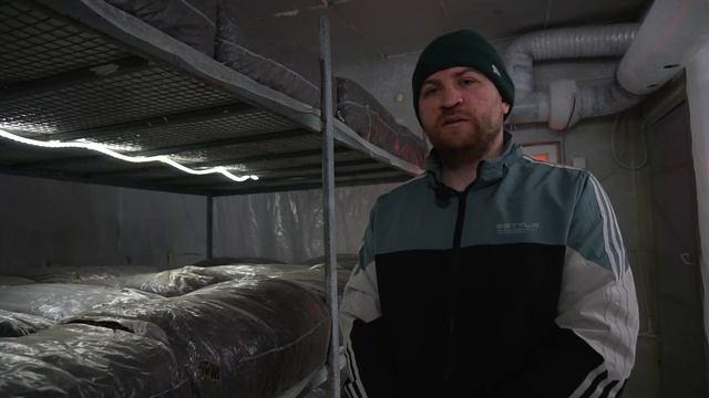 Заработать на грибах | Шампиньоны | Доходы, расходы, новый год смотреть онлайн