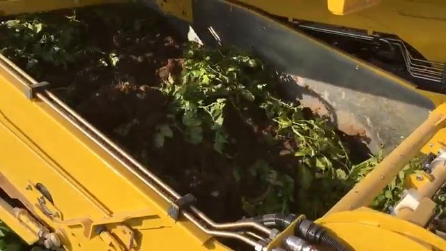 Ропа Кайлер - уборка раннего картофеля смотреть онлайн