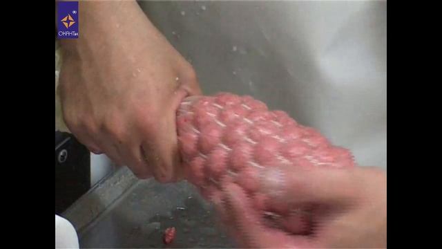 Производство колбасы. Шприц вакуумный роторный Frey С55 смотреть онлайн