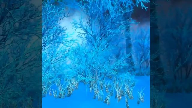 Wizardry Variants Daphne - Snowy Forest Short Overview смотреть онлайн