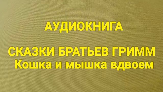 АУДИОКНИГА БРАТЬЯ ГРИММ Кошка и Мышка вдвоем смотреть онлайн