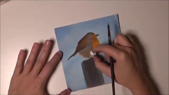 Зарянка пастелью смотреть онлайн