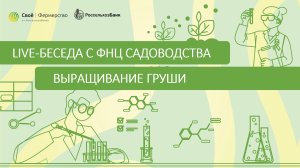 Выращивание груши