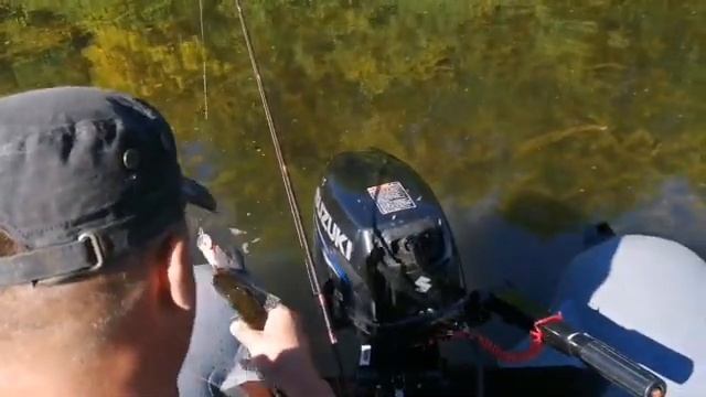 Отдых в Астрахани рыбалка на берегу Волги. смотреть онлайн