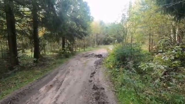 Лайт Эндуро КТМ смотреть онлайн