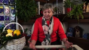 Анагаллис - Синее Море ? ПОСАДКА И УХОД ? Красивые цветы с Garden zoo