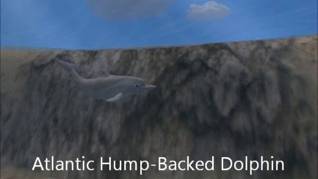 Zoo Tycoon 2 downloads (LINKS BELOW!:3) смотреть онлайн