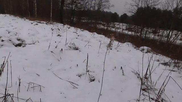 КОП #144 - Зимняя прогулка с МД смотреть онлайн