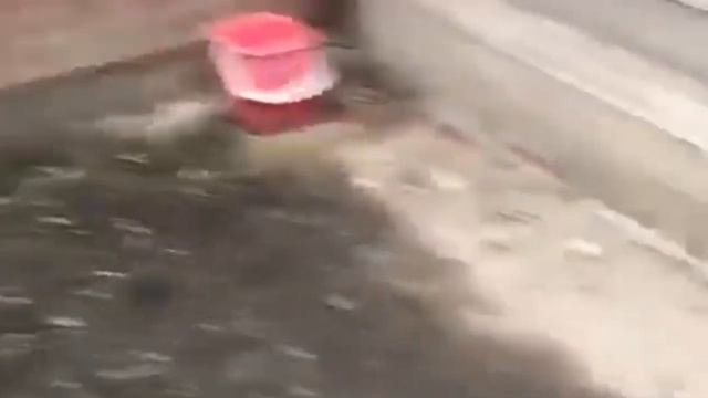 Для тех кто хочет заняться печатном бетоном смотреть онлайн