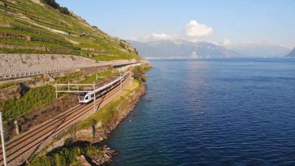 4K Chris Rea – Looking for the Summer