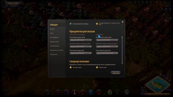 Albion online : Настройка игры! FPS, Ping, Управления и Широкий Экран!