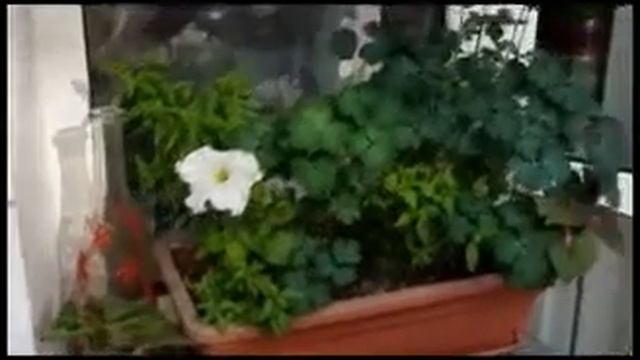 Стеклянные бутылки в интерьере