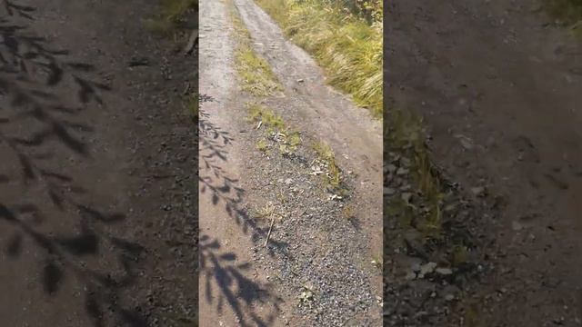 заброшенные гаражи (с 2 машинами внутри) смотреть онлайн