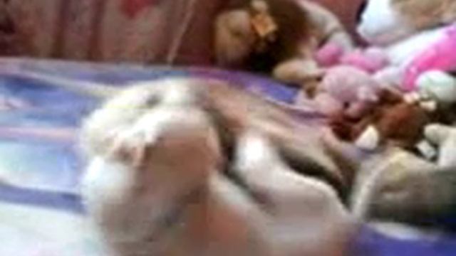gatos contra perros (chester ahorcando al bruno) chester (gato) bruno(perro) смотреть онлайн