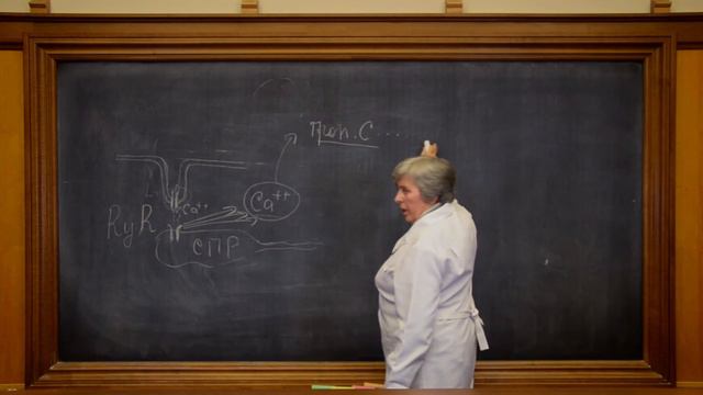 9. Регуляція вмісту кальцію всередині кардіоміоцита та механізм скорочення кардіоміоцита ч.2 смотреть онлайн