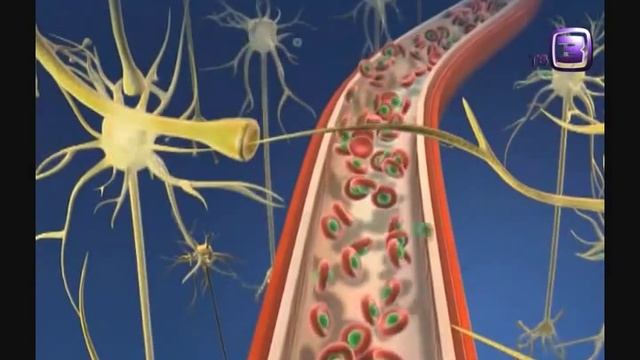 Анжу Шахани — первый в России лидер Йоги Смеха смотреть онлайн