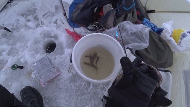 Отдых в коттедже | Новогодние праздники | Коттедж для отдыха | Лучший отдых смотреть онлайн