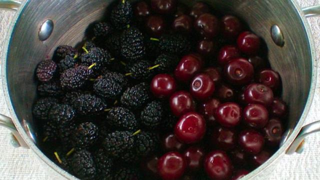 1000 и 1 рецепт