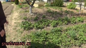 Обзор нашего нового участка