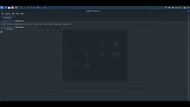 How To Update BurpSuite From Kali Linux Terminal