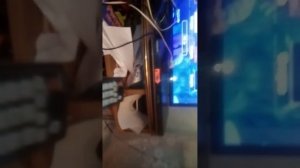 Диск Маши и медведя