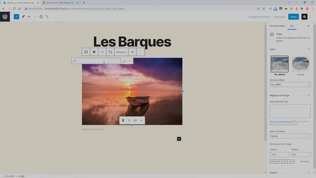 Tutoriel Carousel Swiper pour WordPress - Ajouter un élément смотреть онлайн