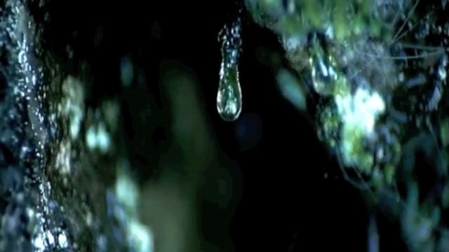 Природная очистка воды смотреть онлайн