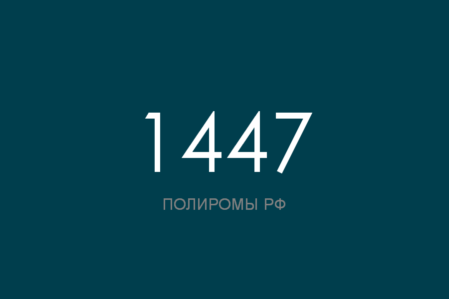 ПОЛИРОМ номер 1447 смотреть онлайн