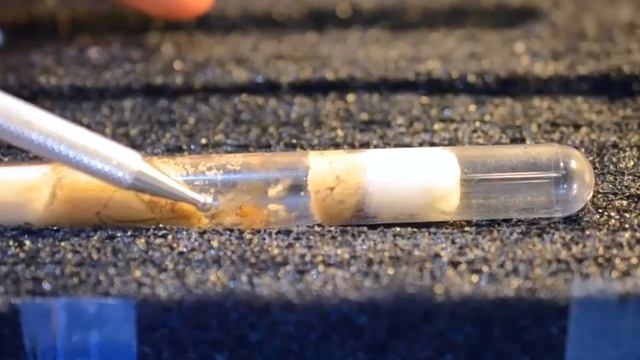 Посылка.Как доехали термиты и термикарий.